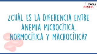 FISIOPATOLOGÍA ANEMIA  ¿CUÁL ES LA DIFERENCIA ENTRE ANEMIA MICROCÍTICA NORMOCÍTICA Y MACROCÍTICA [upl. by Aissenav]