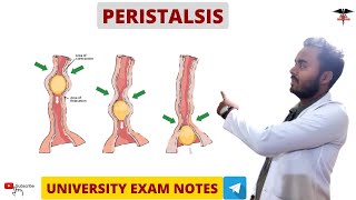 Peristalsis  Digestive System physiology MBBS  BDS  BMLT  DMLT  Nursing lecturers [upl. by Pineda]