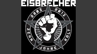 Eisbrecher 2013 [upl. by Asnerek151]