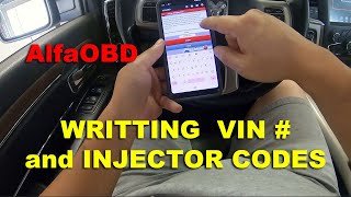 HOW TO WRITE VIN AND INJECTOR CODES USING ALFAOBD [upl. by Gerda]