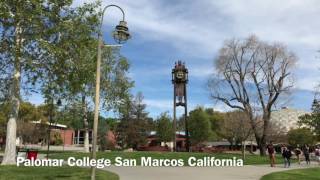 Palomar College Protest [upl. by Walworth572]