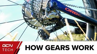 How Do Bike Gears Work  Bicycle Gears Explained [upl. by Robet159]