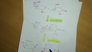 ✅ Biochimie Les Glucides Partie 6 La Permethylation  Loxydation par HIO4 [upl. by Nowd]