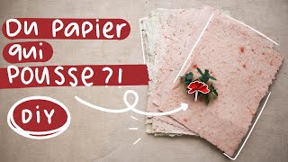 Comment faire du papier ensemencé chez soi 🌱 DIY [upl. by Adnilab]