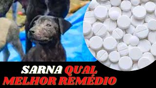 3 REMÃ‰DIOS QUE REALMENTE FUNCIONAM PARA TRATAR SARNA EM CÃƒES  CACHORRO COM COCEIRA PODE SER SARNA [upl. by Yokum49]