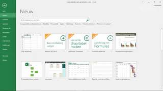 MS Office 365  Excel Intro Excel  Werken met werkbladen 2 [upl. by Aerdno942]