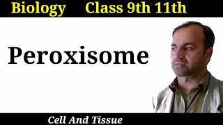 Peroxisome  Structure and functions of Peroxisome  Cell organelles  Class 9 and 11 [upl. by Frodi]