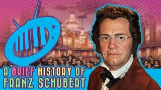 A Brief History of Franz Schubert [upl. by Ewall]