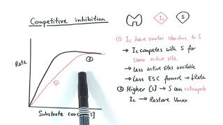 AS Biology  Enzyme inhibition OCR A Chapter 43 [upl. by Gerdeen236]