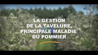 Vergers écoresponsables  la gestion de la tavelure [upl. by Malamud254]