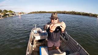 Coomera River Whiting 23rd December 2022 [upl. by Materi551]