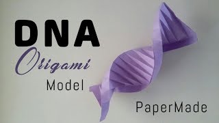 DNA Structure model using paper  Easy  PaperMade [upl. by Poppas]