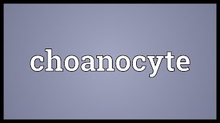 Choanocyte Meaning [upl. by Pyszka]