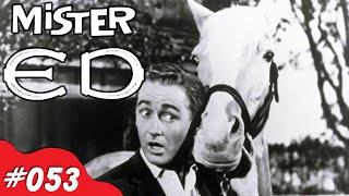 Mister Ed  Nick Knacks Episode 053 [upl. by Elyag]