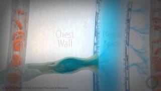 Pleural SpacePart 2 of 3 Pleural Fluid Dynamics HD [upl. by Liddle]