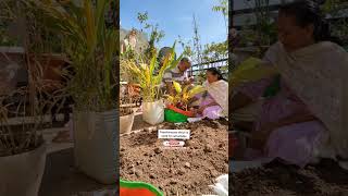 Using Bio Insecticide🦠MetarhiziumPaecilomyces🌿जैव कीटनाशक उपयोग का तरीका✅ashasgardenstoryshorts [upl. by Mendoza]