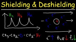 H NMR Spectroscopy Review  Examples amp Multiple Choice Practice Problems [upl. by Eirojam]