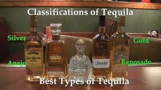 Classifications of Tequila Best Types of Tequila Difference Between Tequilas [upl. by Dust]