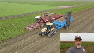 Michigan Sugar Beet Harvest near Ruth [upl. by Attenor]