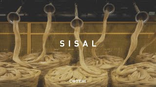 SISAL The Sustainable Twine [upl. by Erkan556]