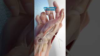 Basal Joint Surgery 3D Animation [upl. by Eenerb]