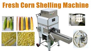 Automatic Fresh Corn Shelling Machine  Boost Your Farms Productivity corn maize thresher [upl. by Nrek613]