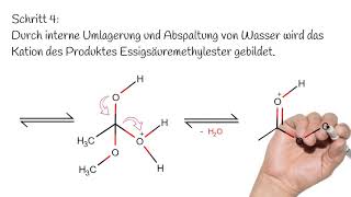 Die säurekatalysierte Veresterung  Reaktionsmechanismus  Organische Chemie [upl. by Cirek]