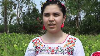 HIMNO NACIONAL MEXICANO EN NAHUATL [upl. by Eerok]