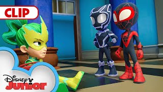 A Day With Black Panther  Marvels Spidey and his Amazing Friends  disneyjr [upl. by Francisca]