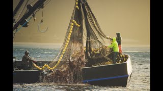 Commercial salmon fishing at Noyes Island Alaska [upl. by Arratahs428]