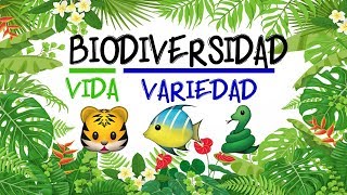 🌿 ¿Qué es la BIODIVERSIDAD 🐝 Fácil y Rápido  BIOLOGÍA [upl. by Balfour859]