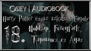 Harry Potter és az azkabani fogoly hangoskönyv remake  18 fejezet [upl. by Ijic]