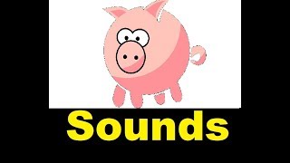 Pig Squeal Sound Effects All Sounds [upl. by Dail]