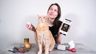 5 Human Foods Cats Can Eat And 5 To Avoid [upl. by Bowman504]