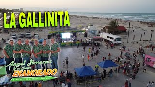 LA GALLINITA  ENAMORADO De Angel Jimenez Desde PLAYA MIRAMAR Tampico 2024 [upl. by Zirtaeb]