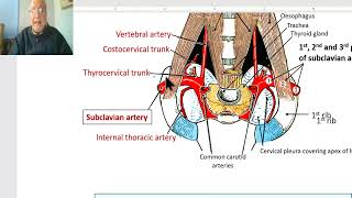 Anatomy of the thorax 2023 Internal thoracic artery by Dr Wahdan [upl. by Asselim]