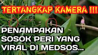 Inilah Penampakan Sosok Peri Tertangkap Kamera yang viral di medsos [upl. by Arjun777]