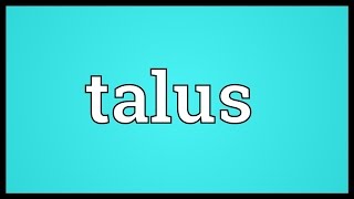 Talus Meaning [upl. by Emoraj]