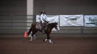 Collette Ashcroft riding HF MLB Groupie IRHA NP Futurity Champion Aug 2024 [upl. by Kroo]