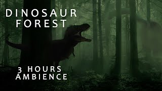 Dinosaur Forest  3 hours  Dinosaur Ambience  Jurassic Park Ambience  Dinosaur and Forest Sounds [upl. by Signe]