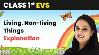 Class 1 EVS  Living Nonliving Things  Explanation [upl. by Hoffer]