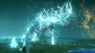 Elden Ring  Nokron Eternal City How to Light All Flames amp Regal Ancestor Spirit Boss Fight Location [upl. by Sielen]