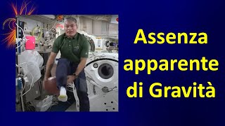 Assenza apparente di gravità sull’ISS [upl. by Holloway626]