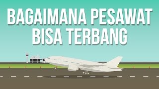 Kenapa Pesawat Bisa Terbang [upl. by Sidman]