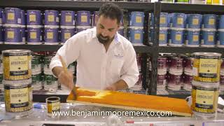 BENJAMIN MOORE ARBORCOAT TINTA PARA MADERA W623 [upl. by September]