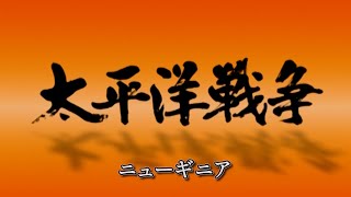 【実録映像】 太平洋戦争６  ニューギニア [upl. by Noreik]