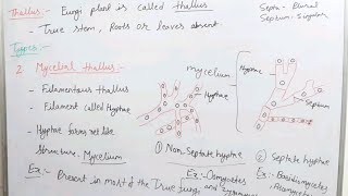 Thallus organization in fungi bsc [upl. by Lerim]