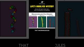 The greatest unsolved mystery in biology [upl. by Wiley839]