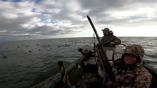 My First Old Squaw Lake Huron Sea Ducks [upl. by Naoma]