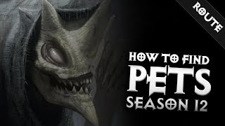 Diablo 3  HOW TO FIND PETS REALLY FAST SEASON 12  PWilhelm [upl. by Rosemarie]